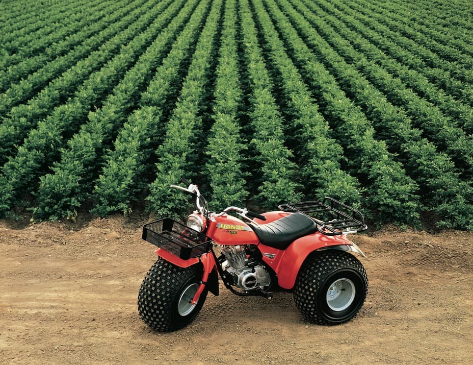 Restoring a Classic Honda ATC185: Navigating Transmission Rebuild Challenges